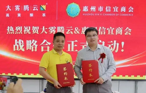大雾腾云&惠州信宜商会战略合作正式启动