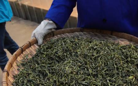 2021年茶行业趋势与机遇在哪里
