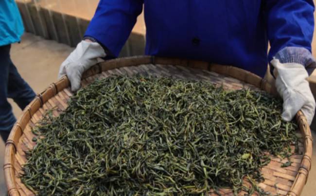2021年茶行业趋势与机遇在哪里